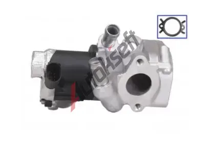 QWP AGR ventil QWP WEG295, WEG295 QWP AGR ventil QWP WEG295, WEG295