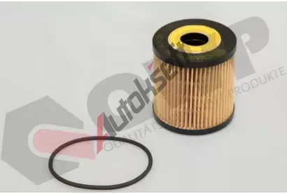 QWP Olejov filtr QWP WOF250, WOF250