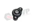 Uloen dicho mechanismu QWP ‐ QWP WRM1284