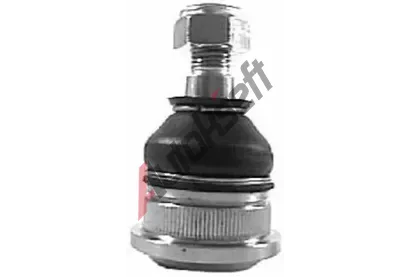 QWP ep ramene QWP WSS1742, WSS1742