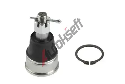 QWP �ep ramene QWP WSS2369, WSS2369