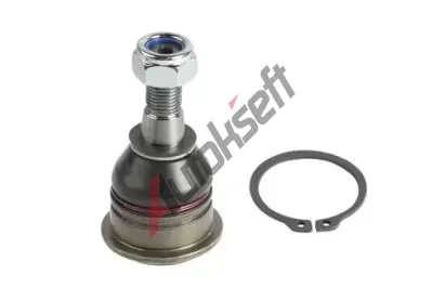 QWP ep ramene QWP WSS2417, WSS2417