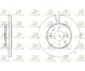 ROADHOUSE Brzdov kotou - 256 mm ‐ RDH 61784.10