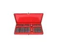 ROOKS Sada bit Torx / Inbus 3/8" 1/2" 40 ks RKS OK-01.0040, OK-01.0040