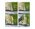 ROOKS Booster super boost za��zen� pro startov�n� s kompresorem 12V 1000A / 2000A 10 Bar 55,5 Wh RKS OK-03.0019, OK-03.0019