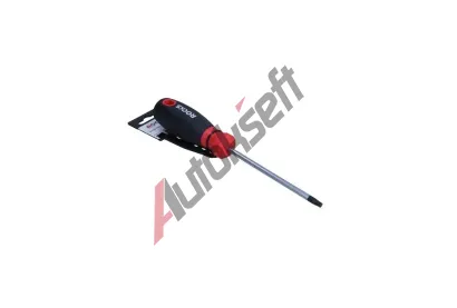 ROOKS Šroubovák Torx T30 s otvorem 100mm RKS OK-07.2136, OK-07.2136 ROOKS Šroubovák Torx T30 s otvorem 100mm RKS OK-07.2136, OK-07.2136