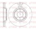 REMSA Brzdov kotou - 257 mm ‐ RMS 6443.10