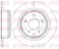 Brzdov kotou REMSA ‐ RMS 6998.10