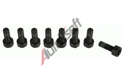 SACHS Sada roub - setrvank SA 1874 000 066, SA 1874000066