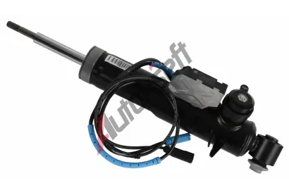 SACHS Tlumi provn CDC SA 319119, 319 119