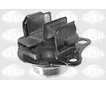 Zaven motoru SASIC ‐ SAS 4001737