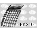 SASIC Ozuben klnov emen ‐ SAS 5PK810