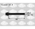 roub emenice SASIC ‐ SAS 8700012