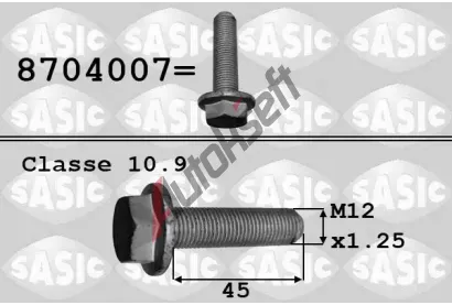 SASIC roub emenice SAS 8704007, 8704007
