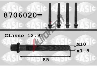 SASIC roub emenice SAS 8706020, 8706020