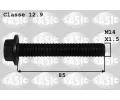 roub emenice SASIC ‐ SAS 8706021