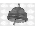 Zaven motoru SASIC ‐ SAS 9001405