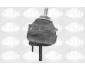 Zaven motoru SASIC ‐ SAS 9001450