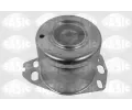 SASIC Zaven motoru ‐ SAS 9002421