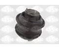 SASIC Zaven motoru ‐ SAS 9002553