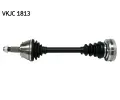 Hnac hdel SKF ‐ SK VKJC1813