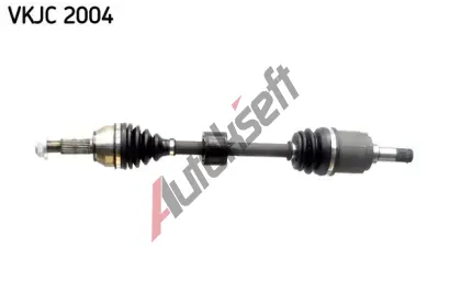 SKF Hnac hdel SK VKJC2004, VKJC 2004