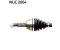 SKF Hnac hdel SK VKJC2004, VKJC 2004