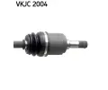 SKF Hnac hdel SK VKJC2004, VKJC 2004