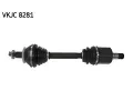 Hnac hdel SKF ‐ SK VKJC8281