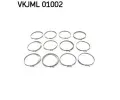  SKF ‐ SK VKJML01002