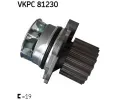 SKF Vodn erpadlo SK VKPC 81230, SK VKPC81230