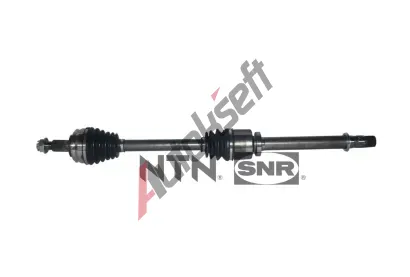 SNR Hnac hdel SNR DK55.019, DK55.019