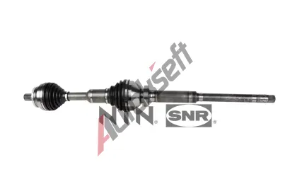 SNR Hnac hdel SNR DK65.006, DK65.006