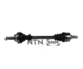 SNR Hnac hdel ‐ SNR DK66.005