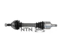 SNR Hnac hdel ‐ SNR DK66.018