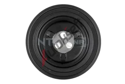 SNR Řemenice klikového hřídele SNR DPF352.09, DPF352.09  SNR Řemenice klikového hřídele SNR DPF352.09, DPF352.09