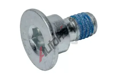 SWAG �roub brzdov�ho kotou�e SWG 10 90 5560, 10 90 5560