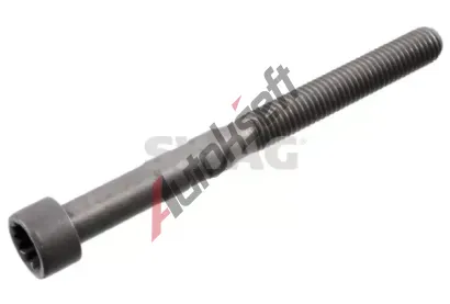 SWAG Šroub hřídele vahadla SWG 30 10 0726, 30 10 0726 SWAG Šroub hřídele vahadla SWG 30 10 0726, 30 10 0726