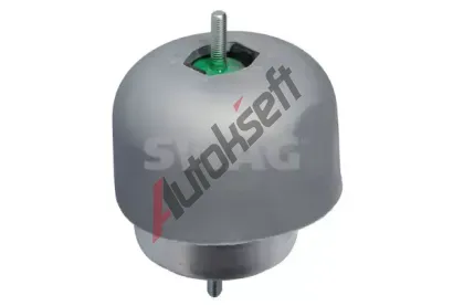 SWAG Zaven motoru SWG 30 13 0060, 30 13 0060
