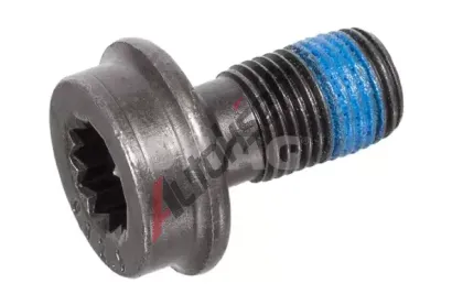 SWAG Šroub setrvačníku SWG 30 92 4602, 30 92 4602 SWAG Šroub setrvačníku SWG 30 92 4602, 30 92 4602