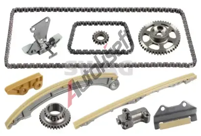 SWAG Sada rozvodov�ho �et�zu Standard Medium Kit SWG 33 10 7479, 33 10 7479