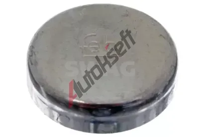 SWAG Protimrazov� z�tka SWG 99 90 2543, 99 90 2543