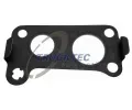 Tsnn vfukov trubky TRUCKTEC AUTOMOTIVE ‐ TCT 02.16.024