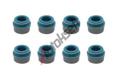 TRUCKTEC AUTOMOTIVE Sada tsnn dku ventilu TCT 02.43.008, 02.43.008