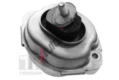 TEDGUM Zav�en� motoru TDG 00088396, 00088396