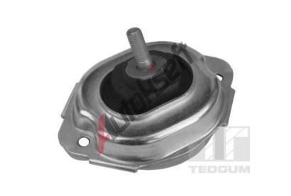 TEDGUM Zaven motoru TDG 00088547, 00088547