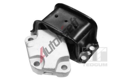 TEDGUM Zaven motoru TDG 00145790, 00145790