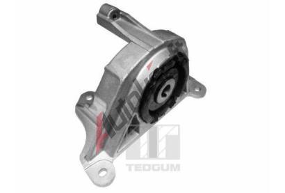 TEDGUM Zaven motoru TDG 00215780, 00215780