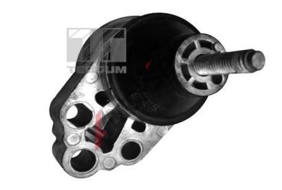 TEDGUM Zaven motoru TDG 00226305, 00226305