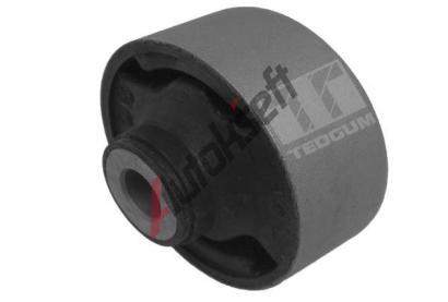 TEDGUM Uloen dicho mechanismu TDG 00262421, 00262421